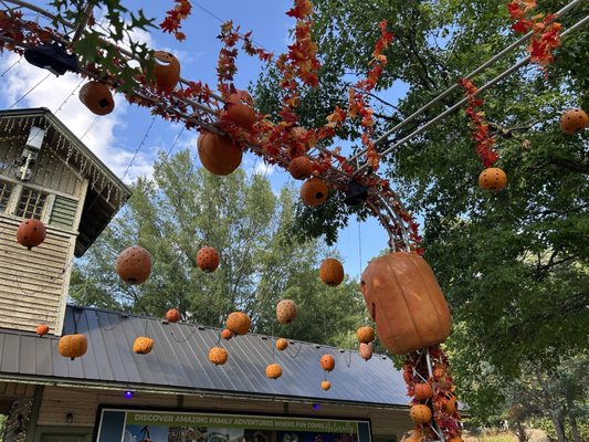 1000 Robert E Lee Blvd by null