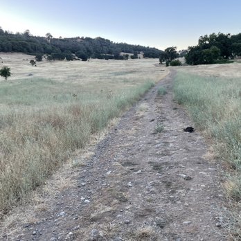 Cronan Ranch Trails Park - Walking path - Hiking Near Me - Pilot Hill, California
