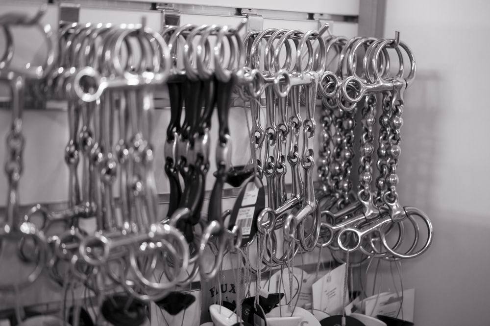 RB EQUESTRIAN Updated August 2024 Mill Lane, Milton Keynes, Buckinghamshire, United Kingdom