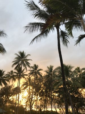 Port Douglas Peninsula Boutique Hotel by null