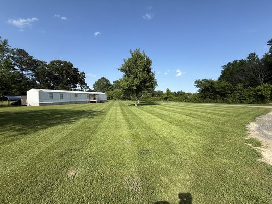 Get 10% OFF Your First Lawn Care Service! - Looking for a professional, reliable way to keep your lawn looking its best? Phillips Outdoor Service is here for you!
We offer comprehensive lawn care solutions—regular mowing, edging, weed control, and more—designed to keep your yard in top shape all year long. Our team proudly serves Ragland, Gadsden, Pell City, Springville, Trussville, and surrounding communities.
Special Offer for New Clients!
Book a weekly or bi-weekly lawn care service, mention “Yelp”, and receive 10% off your first service!
Why Choose Phillips Outdoor Service?
📅 Flexible scheduling options
🌱 Weekly & bi-weekly care packages
🤝 Friendly, local team you can trust
💯 Satisfaction guaranteed
Ready for a greener, more beautiful lawn?
📞 Call us today at (256) 589-2296 to claim your discount and get started! Get 10% OFF Your First Lawn Care Service! - Looking for a professional, reliable way to keep your lawn looking its best? Phillips Outdoor Service is here for you!
We offer comprehensive lawn care solutions—regular mowing, edging, weed control, and more—designed to keep your yard in top shape all year long. Our team proudly serves Ragland, Gadsden, Pell City, Springville, Trussville, and surrounding communities.
Special Offer for New Clients!
Book a weekly or bi-weekly lawn care service, mention “Yelp”, and receive 10% off your first service!
Why Choose Phillips Outdoor Service?
📅 Flexible scheduling options
🌱 Weekly & bi-weekly care packages
🤝 Friendly, local team you can trust
💯 Satisfaction guaranteed
Ready for a greener, more beautiful lawn?
📞 Call us today at (256) 589-2296 to claim your discount and get started!