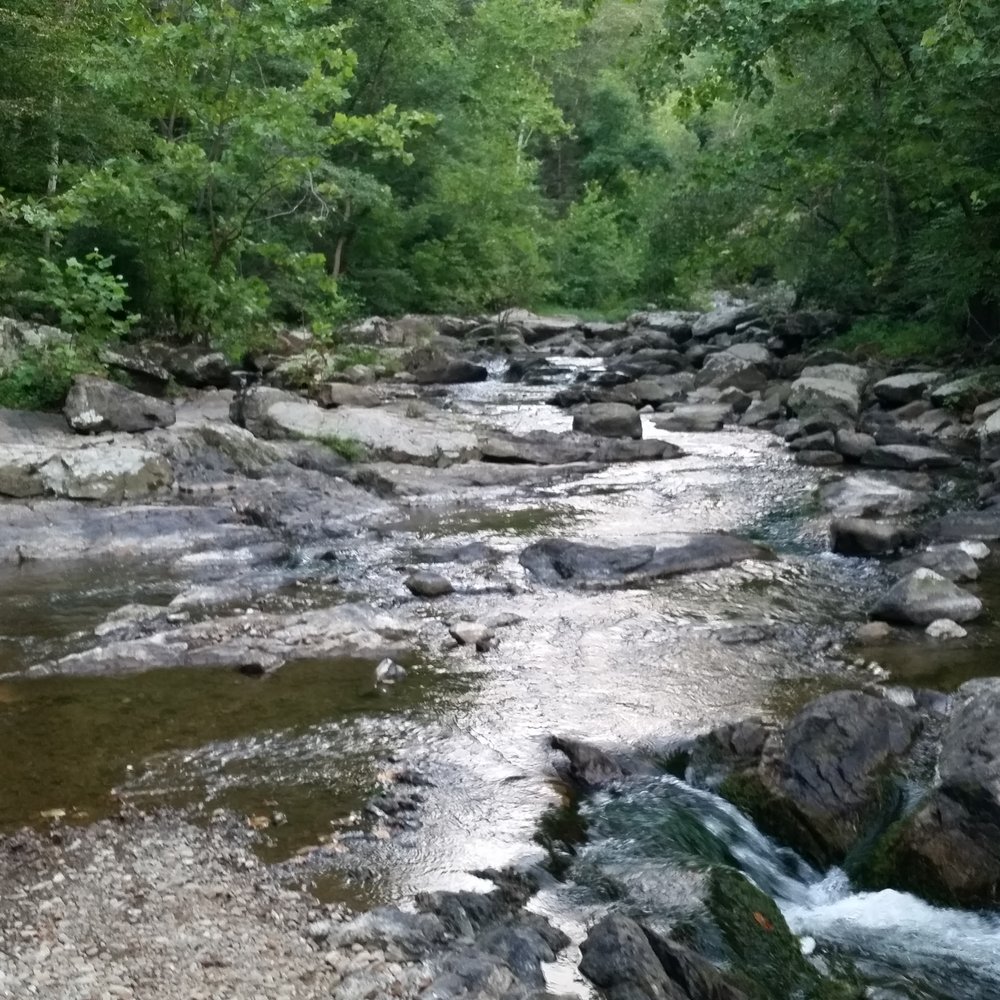 Gooney Creek Campground - The end of the trail... unless if you hop through the creek. - Campgrounds Near Me - Front Royal, Virginia