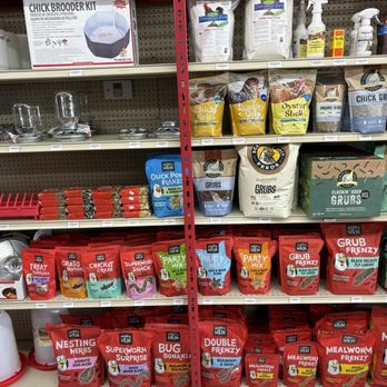 Big Als Feed & Pet - Restock and new stuff for the chick season - Pet Stores Near Me - Los Angeles, California Big Als Feed & Pet - Restock and new stuff for the chick season - Pet Stores Near Me - Los Angeles, California