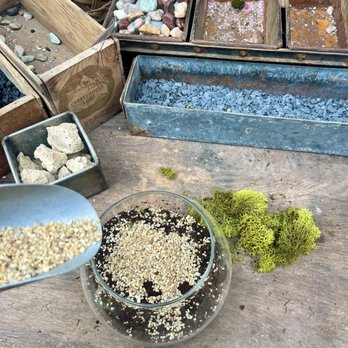 Maypop Coffee & Garden Shop - Making my custom terrarium - Coffee & Tea Near Me - Webster Groves, Missouri