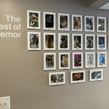 Huemor - Our best work? It's up for debate. Our best coworkers? No question. - Web Design Near Me - Pittsburgh, Pennsylvania Huemor - Our best work? It's up for debate. Our best coworkers? No question. - Web Design Near Me - Pittsburgh, Pennsylvania