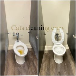 Cats Cleaning Crew - We can remove any soap  scum from walls and toilets . This was a commercial cleaning call now for all your commercial cleaning needs