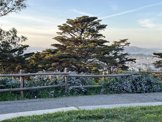 Buena Vista Park by null