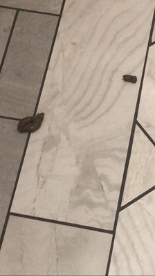 Crest at Las Colinas Station