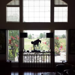 Solar Shield Blinds