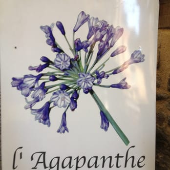 L'Agapanthe - Florists Near Me - Vannes, 56