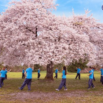 Bodhi Meditation - Energy Bagua - Walking Meditation - Meditation Centers Near Me - Richmond, British Columbia
