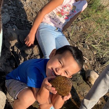 Winton Park - We love this lake my dad always brought us here when I was little now my kids will grow up coming here - Parks Near Me - Sanger, California Winton Park - We love this lake my dad always brought us here when I was little now my kids will grow up coming here - Parks Near Me - Sanger, California