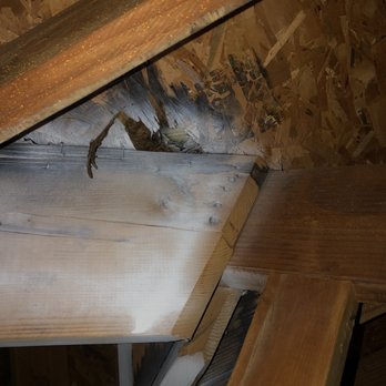 B & F Roofing - Paid him to repair water-damaged sheeting and rafters. He painted my rafters? - Roofing Near Me - Shelbyville, Indiana