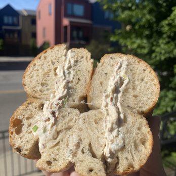 Sidedoor Bagel - Rosemary sea salt + bacon scallion cc - Bagels Near Me - Indianapolis, Indiana