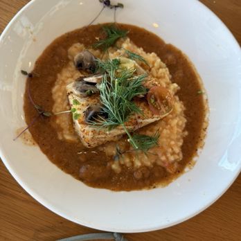 Pier 6 - Mahi Mahi - Seafood Near Me - San Leon, Texas Pier 6 - Mahi Mahi - Seafood Near Me - San Leon, Texas