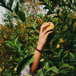 Gloria Detox & Rehab Center - Nature is always a relief.