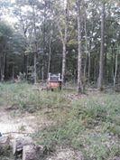 Slide of Fortner Construction and Tree Service