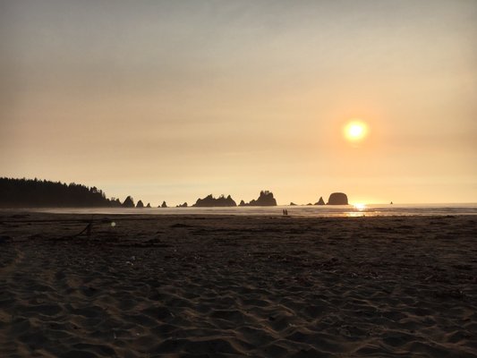 Shi Shi Beach by null