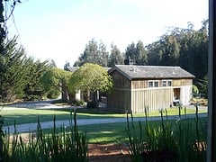 Costanoa by null