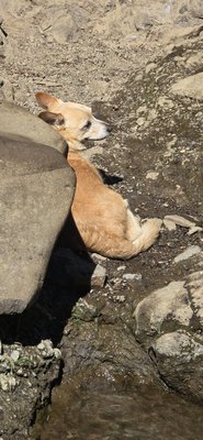 McCloud Falls - Upper Fall by null