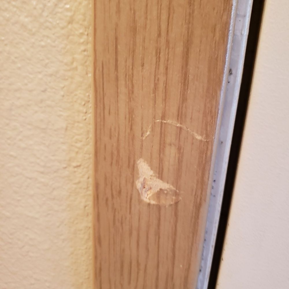 Copper Creek - Another example of dents, scratches, etc. throughout the unit. - Apartments Near Me - Milton, Washington Copper Creek - Another example of dents, scratches, etc. throughout the unit. - Apartments Near Me - Milton, Washington