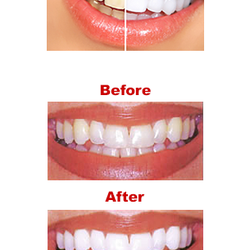 Prime Dental