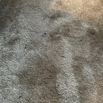 Mobile Carpet & Floor Cleaning - Carpet Cleaning Near Me Mobile Carpet & Floor Cleaning - Carpet Cleaning Near Me