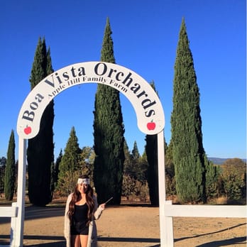 Boa Vista Orchards - fun times! - Fruits & Veggies Near Me - Placerville, California Boa Vista Orchards - fun times! - Fruits & Veggies Near Me - Placerville, California