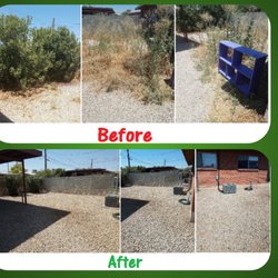 Casa Modelo Landscaping - Backyard clean up!
