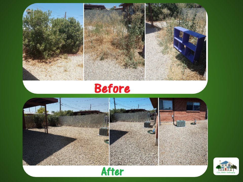 Casa Modelo Landscaping - tree service in Tucson, AZ