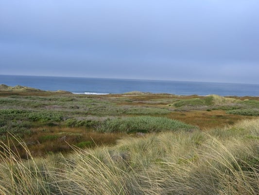 Costanoa by null