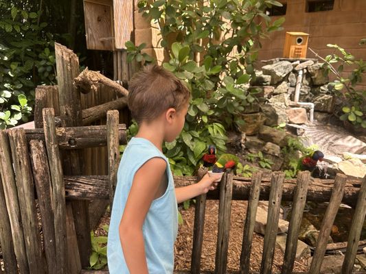 Palm Beach Zoo & Conservation Society by null