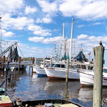 Safe Harbor Seafood - Seafood Near Me - Jacksonville, Florida Safe Harbor Seafood - Seafood Near Me - Jacksonville, Florida