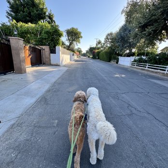 Fifiwoof pets - Pet Boarding Near Me