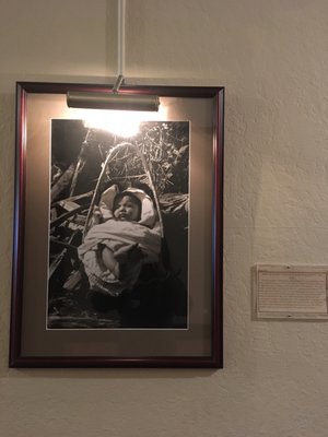 Hotel Arcata by null