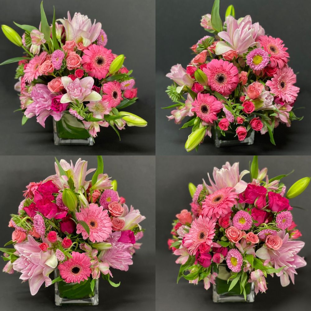 FULL VASE Updated June 2024 35 Photos East Greenwich, Rhode