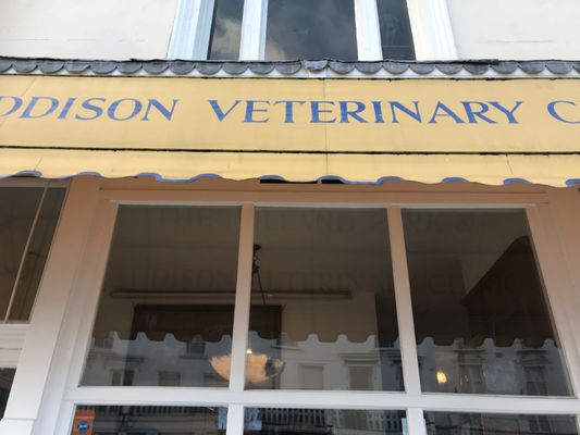 THE HOLLAND PARK & ADDISON VETERINARY CLINIC - Updated July 2025 - 7