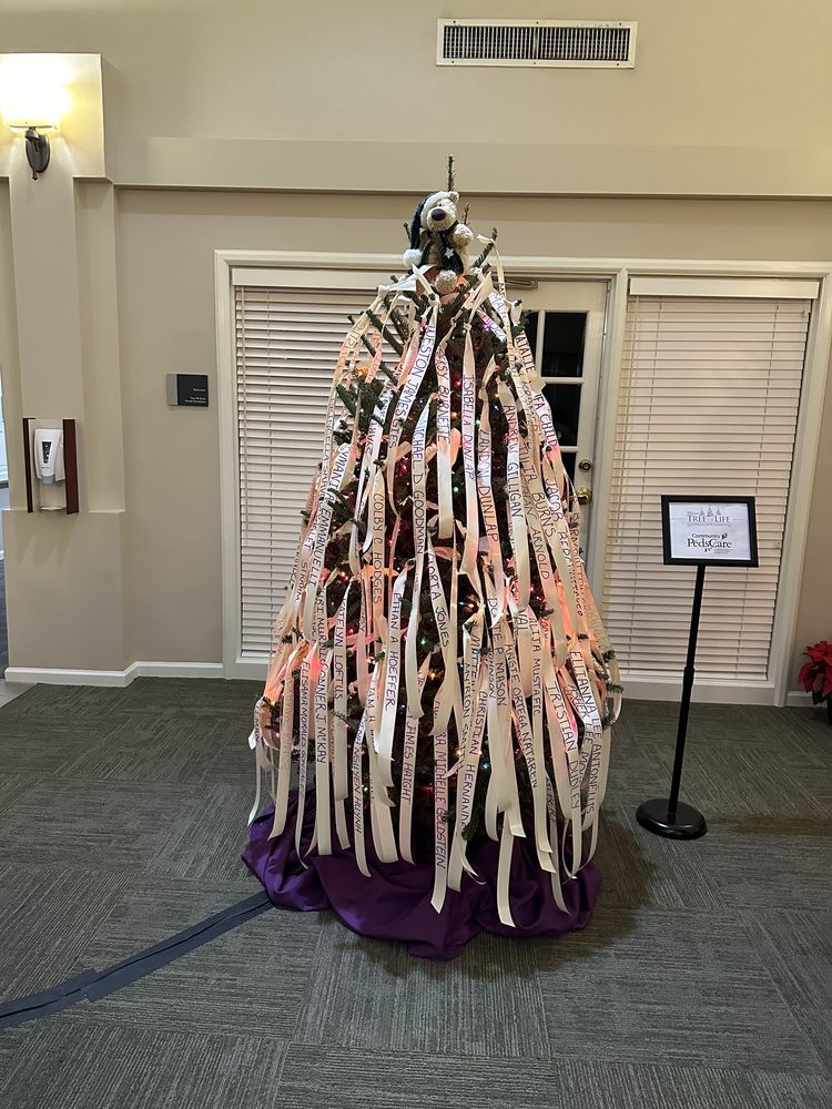 Community Hospice & Palliative Care - grief counselor in Jacksonville, FL