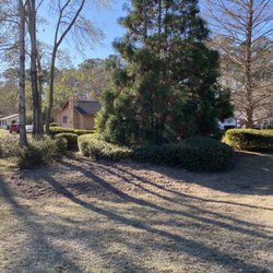 Bannister Tree Service - Cleared out six mature trees and left the yard looking like no project even took place. A+
