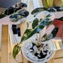 The Luxe Leaf