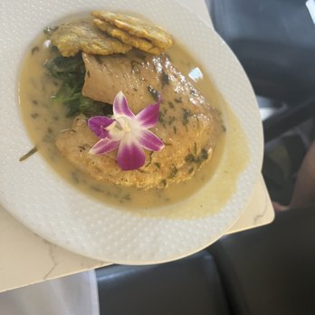 Blend Astoria - Talapia - Latin American Near Me - Astoria, New York Blend Astoria - Talapia - Latin American Near Me - Astoria, New York