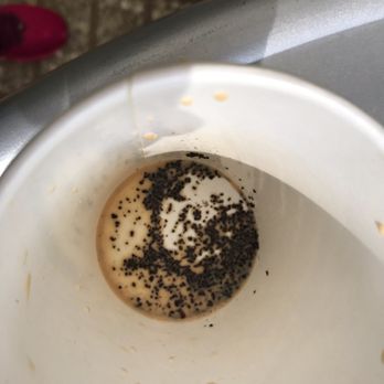 SpringHill Suites By Marriott - Coffee grounds leftover in 1/4 cup of coffee. - Hotels Near Me - Elmhurst, Illinois