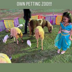 Paniolo Parties