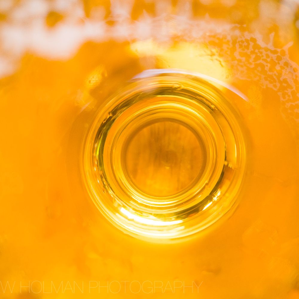 Devil's Club Brewing - beer's eye view - Brewpubs Near Me - Juneau, Alaska Devil's Club Brewing - beer's eye view - Brewpubs Near Me - Juneau, Alaska