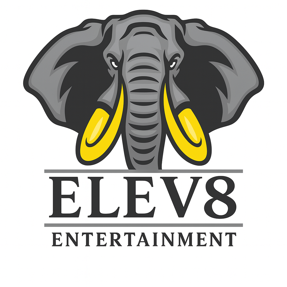 Elev8 Entertainment - wedding in Troy, NY