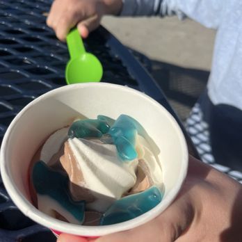 Surf N' Yogurt - Gummy sharks! - Ice Cream & Frozen Yogurt Near Me - Ventura, California Surf N' Yogurt - Gummy sharks! - Ice Cream & Frozen Yogurt Near Me - Ventura, California