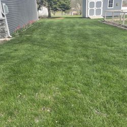 Advanced Lawn and Pest Control