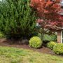 Photo of Higher Ground Landscape Maintenance
