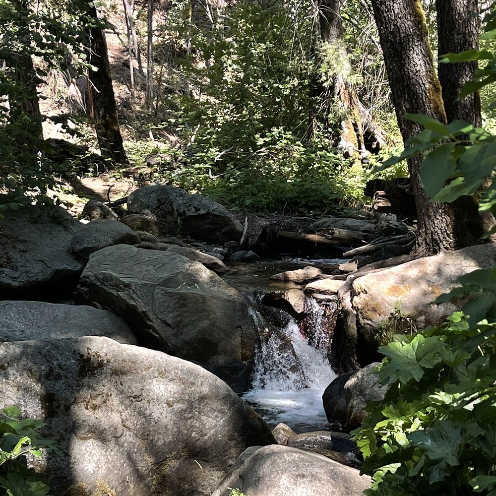Lewis Creek Trail - Waterfall - Hiking Near Me Lewis Creek Trail - Waterfall - Hiking Near Me