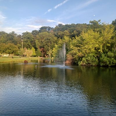Avondale Park by null